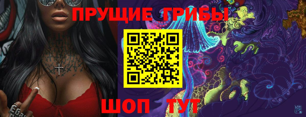 Нерюнгри  Псилоцибиновые грибы прущие грибы  Вход с VPN  Галлюциногенные грибы Psilocybine cubensis 