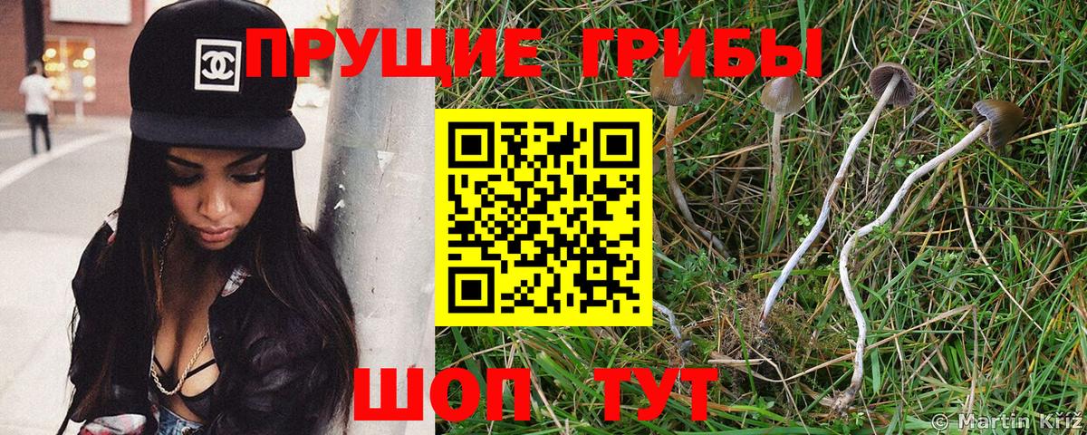 Галлюциногенные грибы Magic Shrooms Нерюнгри